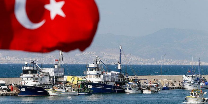 Sayıları 50'yi geçti