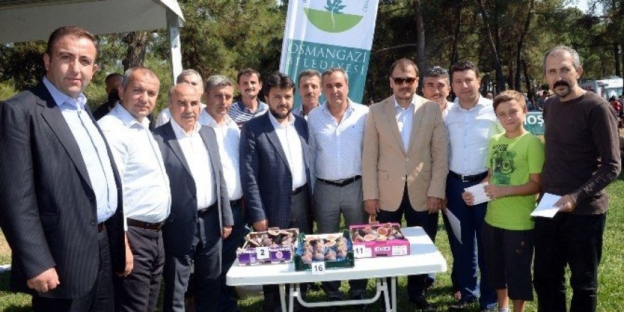 Hem incirler, hem pehlivanlar yarıştı