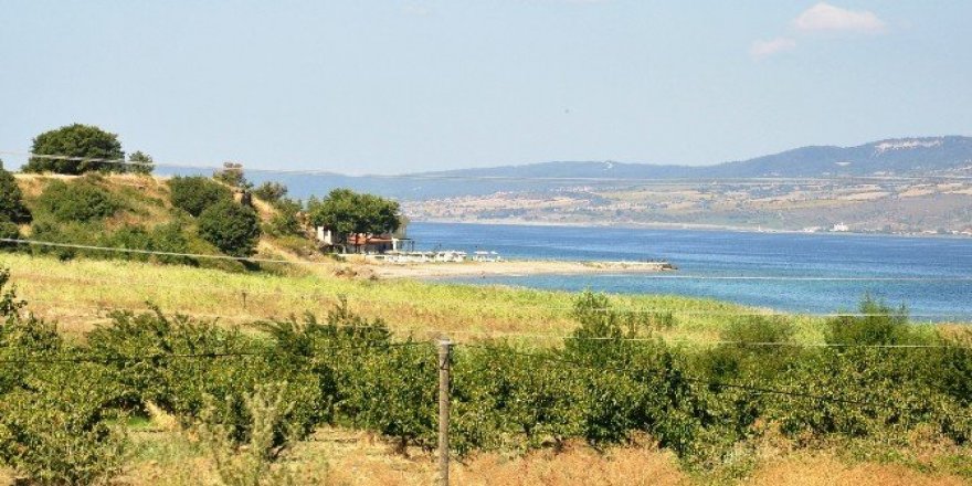 Köprü haberi emlak piyasasını uçurdu