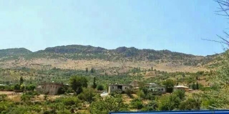 Hırsızlar telef olan ineği çaldı
