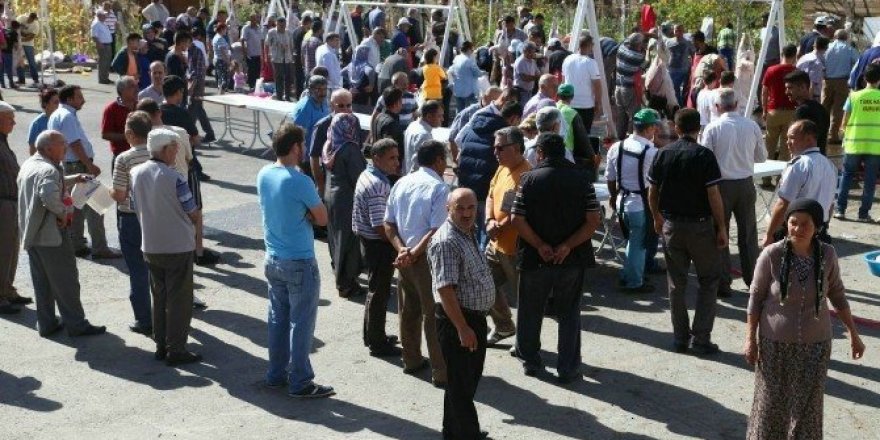 Odunpazarı’ndan ücretsiz kurban kesim hizmeti