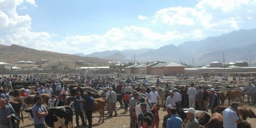 Van’da kurbanlıklar pazara indi