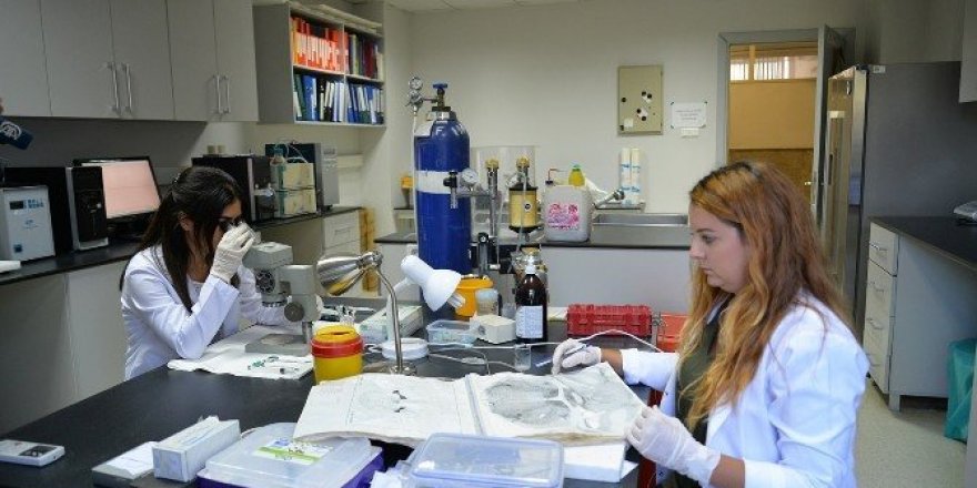Uludağ Üniversitesi, depresyonu yenen molekül buldu