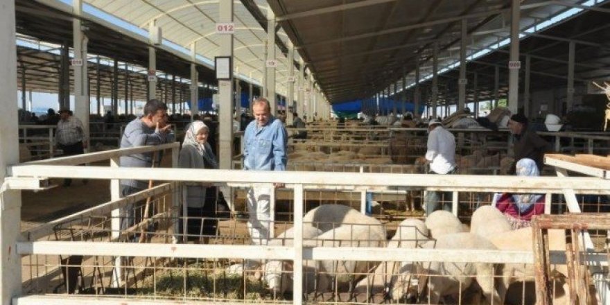 Nazilli’de kurban kesim yerleri belirlendi