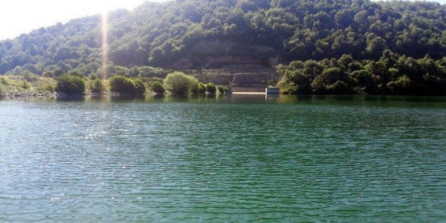 Çiftçiler kanalizasyon suyu ile tarlalarını suluyor