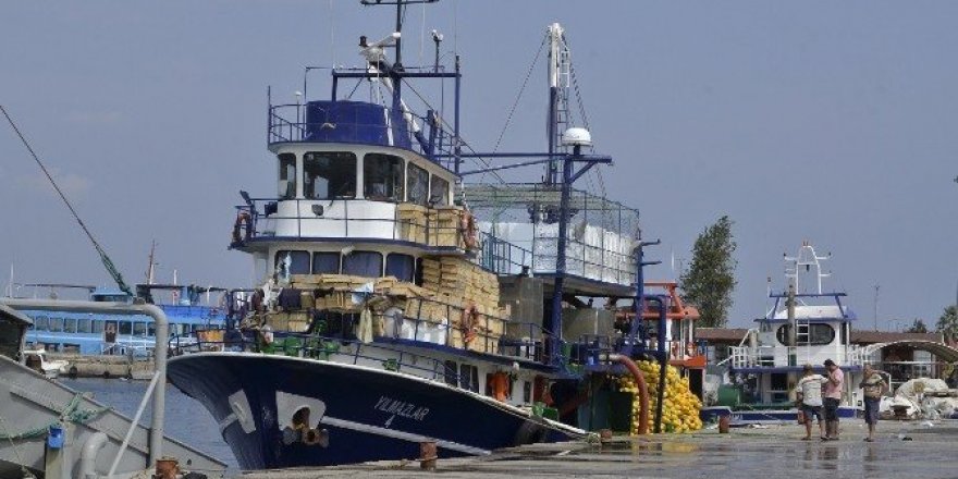 Marmara’da hamsi bereketi