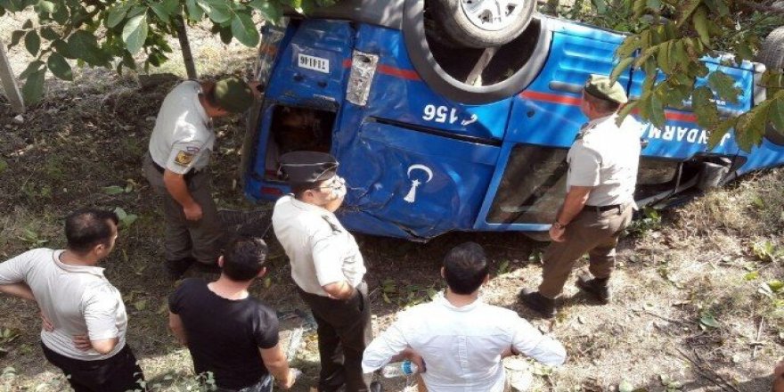 Jandarma aracı kaza yaptı, komutanlar köpek için seferber oldu