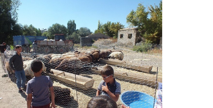 Malazgirt’te kurban pazarı açıldı