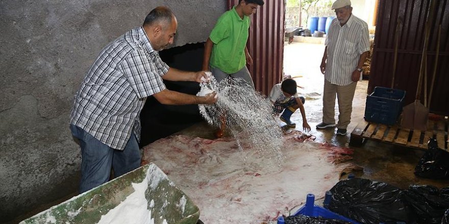 Kurban derileri için tuzlama uyarısı