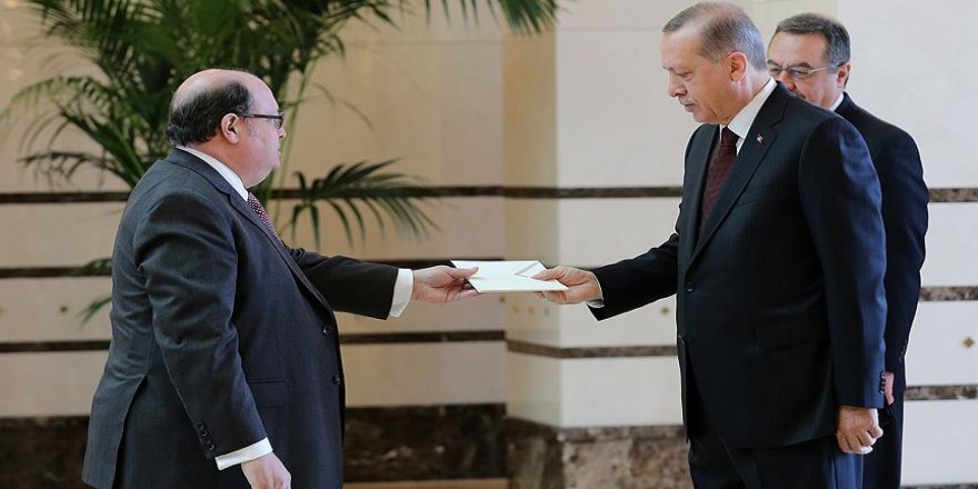 Erdoğan, Şili Büyükelçisi Silva'yı kabul etti