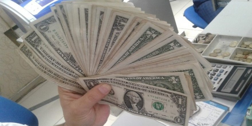 Vatandaşlarda ’1 dolar’ korkusu başladı