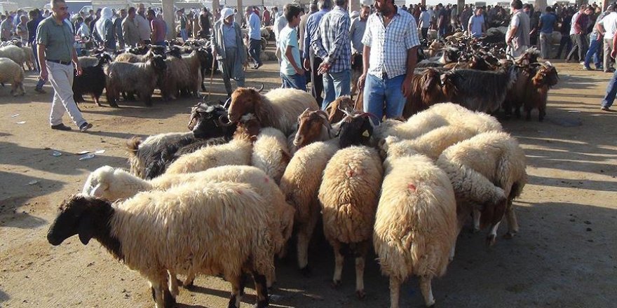 Terör mağdurları ile Suriyeli sığınmacılara 'bin kurban'