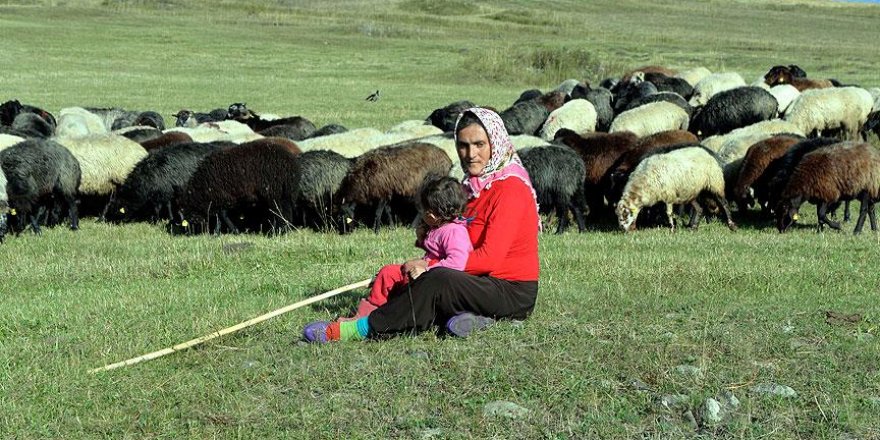 Bir keçileri bile yokken şimdi 40 koyunları var