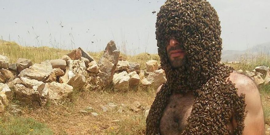 Arılarla Guinness'e girmek istiyor