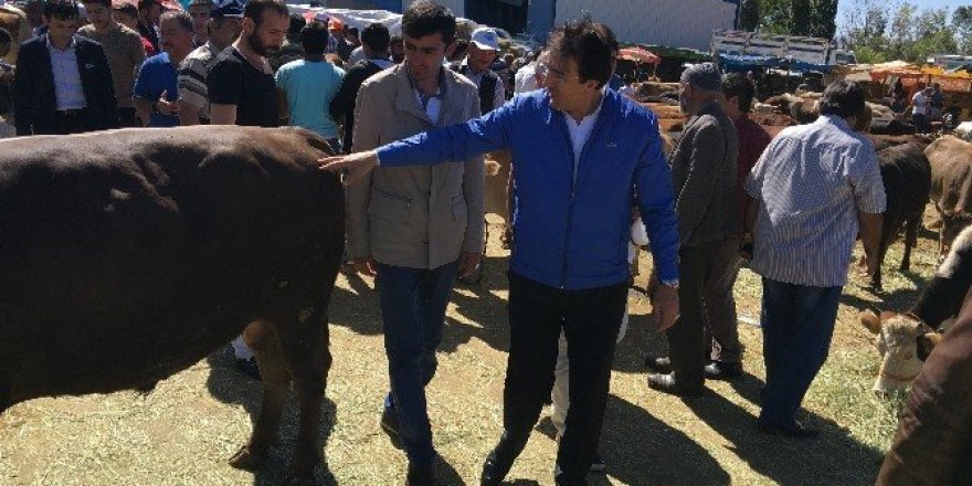 Aydemir, ’Canlı Hayvan Borsası büyük ihtiyaç’