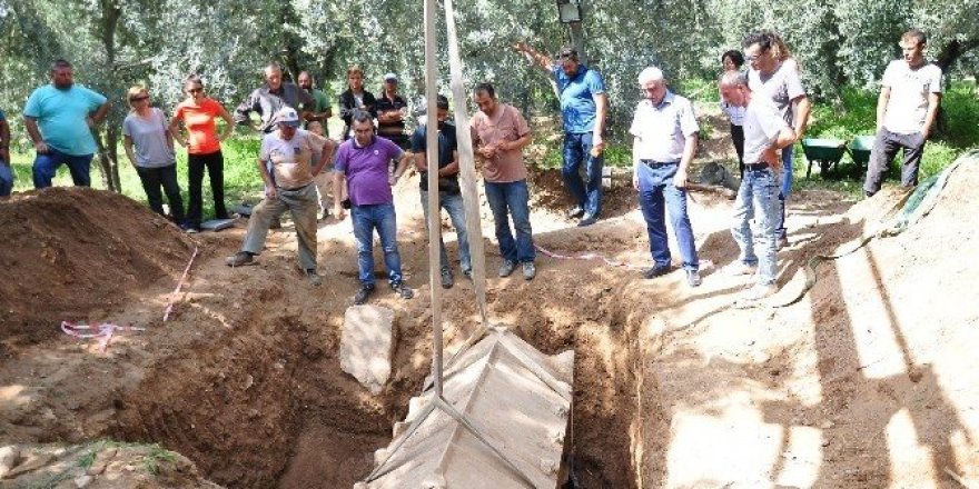 Zeytinlikten lahit fışkırıyor