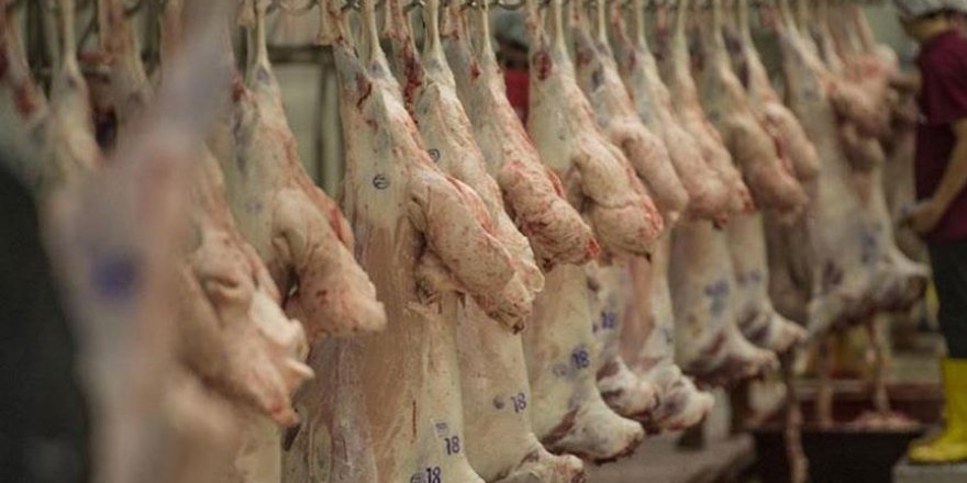 Kurban etini saklarken 'bakteriye' dikkat