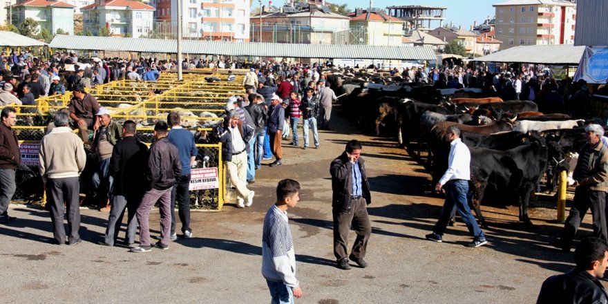 Güray, kurban pazarını ziyaret etti