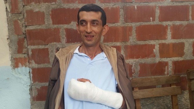 Koç keserken elini kesti