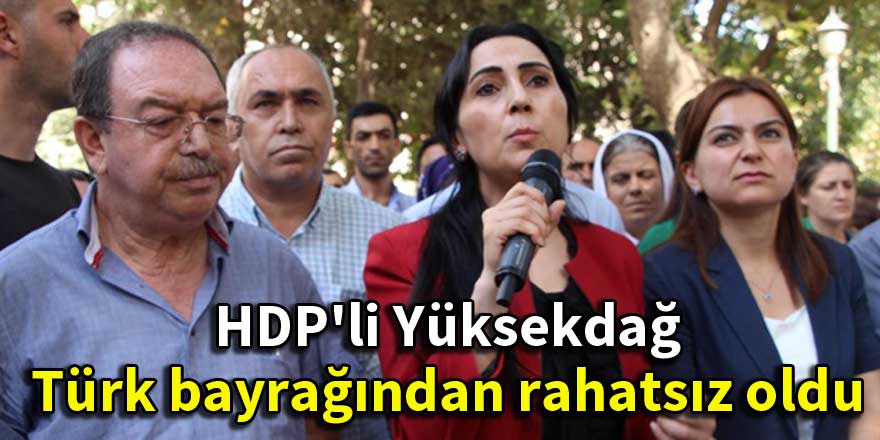 HDP'li Yüksekdağ Türk bayrağından rahatsız oldu