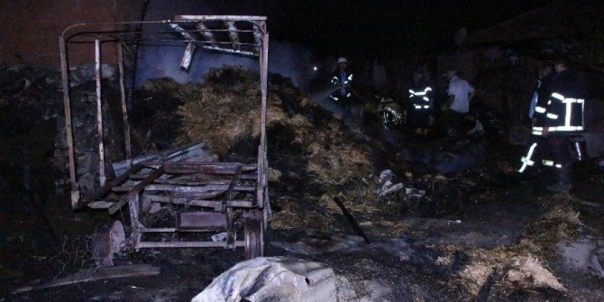 Amasya’da ahır yangını: 6 hayvan telef oldu