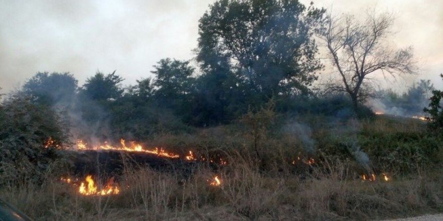 Bursa’da korkutan yangın