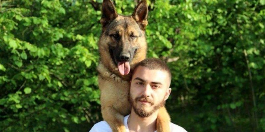 Sadık dostlar eğitimle daha sadık oluyor