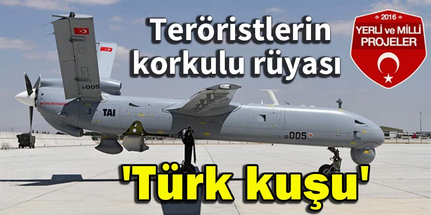 Teröristlerin korkulu rüyası 'Türk kuşu'