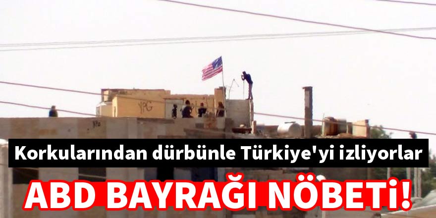 PYD’liler ABD bayrağı nöbetinde dürbünle Türkiye'yi izliyor