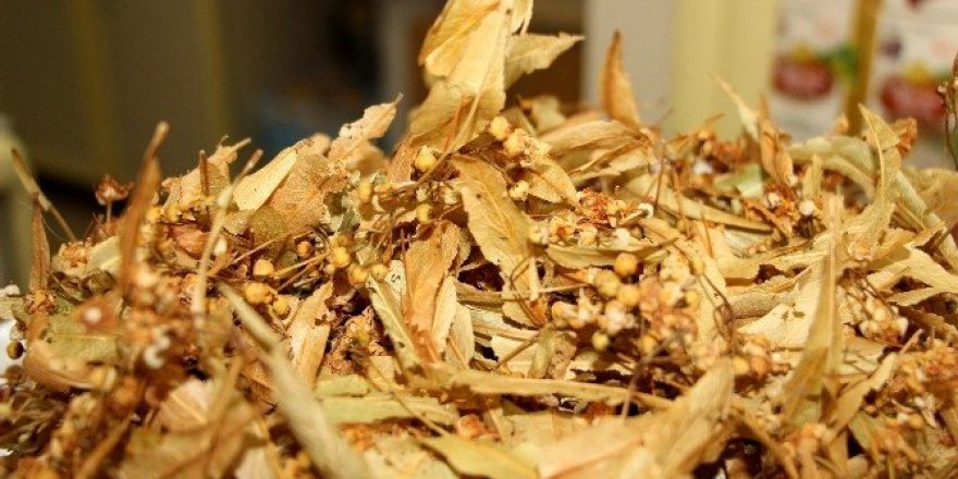 Geçen yıl 200 lira olan ıhlamur bu yıl 80 lira