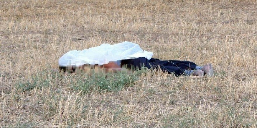 Koyunların tarlaya girmesine sinirlendi, iki kardeşi öldürdü