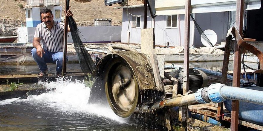 Alabalık çiftliğinin elektriği 'kaynak suyu'ndan