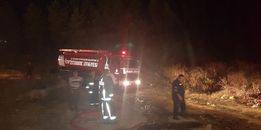 Aydos Ormanı'nda yangın