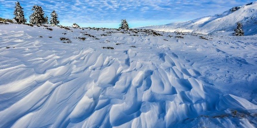 Türk fotoğrafçılar Dünya Kupası’nda mansiyon kazandı