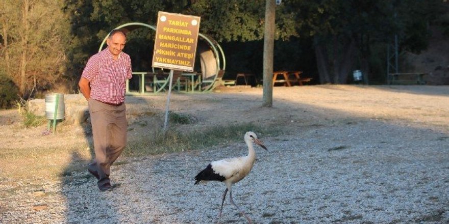 Beyşehir’deki Tabiat Parkı’na ahşap bungalov evler yapılacak