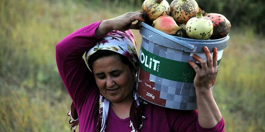 Nar taneleri 'kınalı eller'de ekşiyor