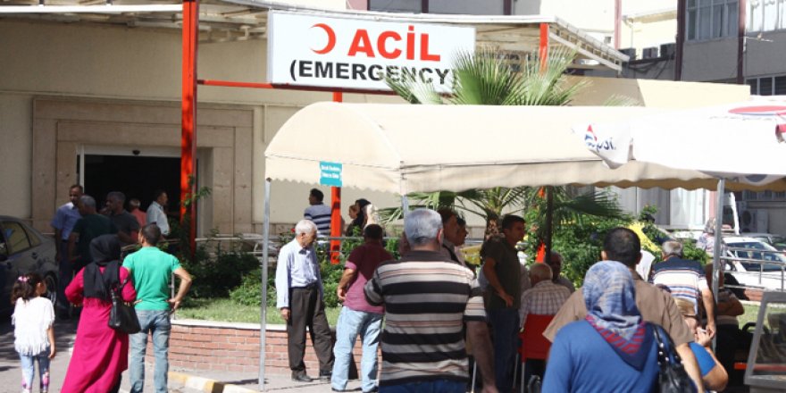 Adana'da kuduz şüphesi