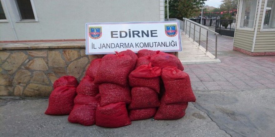 Edirne’de 20 bin TL’lik kaçak kum midyesi ele geçirildi