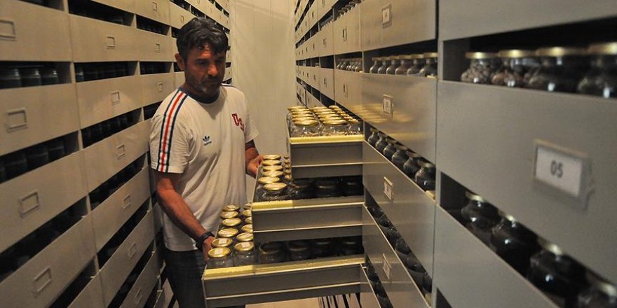 Anadolu'nun kalbi bu bankada yatıyor