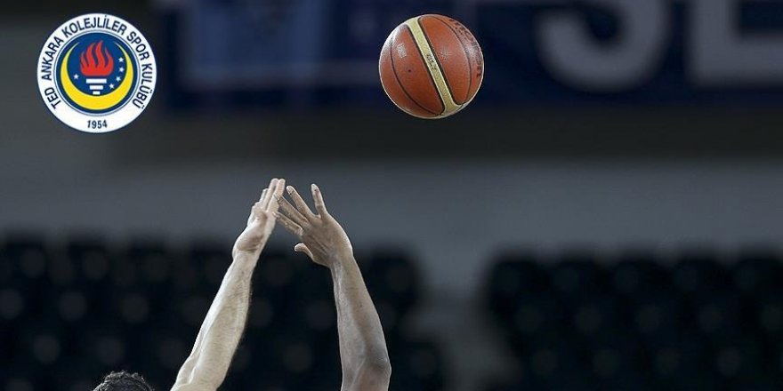 TED Ankara Kolejliler'de transfer