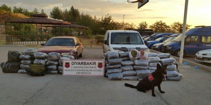 Diyarbakır’da 345 kilogram esrar ele geçirildi