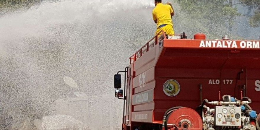 Antalya’da orman yangını