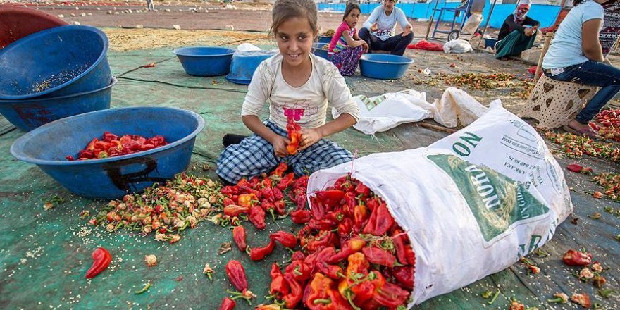 Kışa 'acı' hazırlık