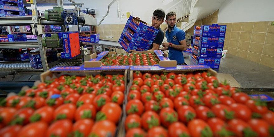 Ruslar harekete geçti, talepler gelmeye başladı