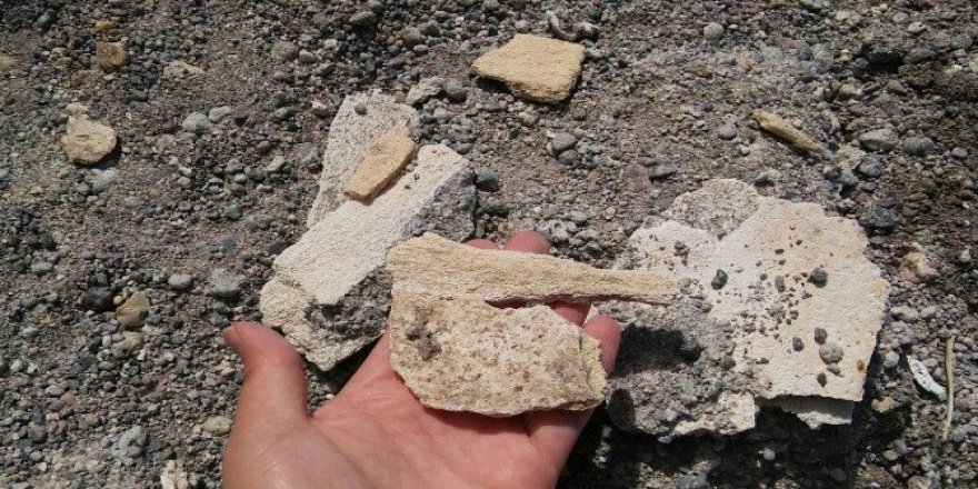 Mamut fosillerinin çıktığı bölgenin sit alanı olması talebi