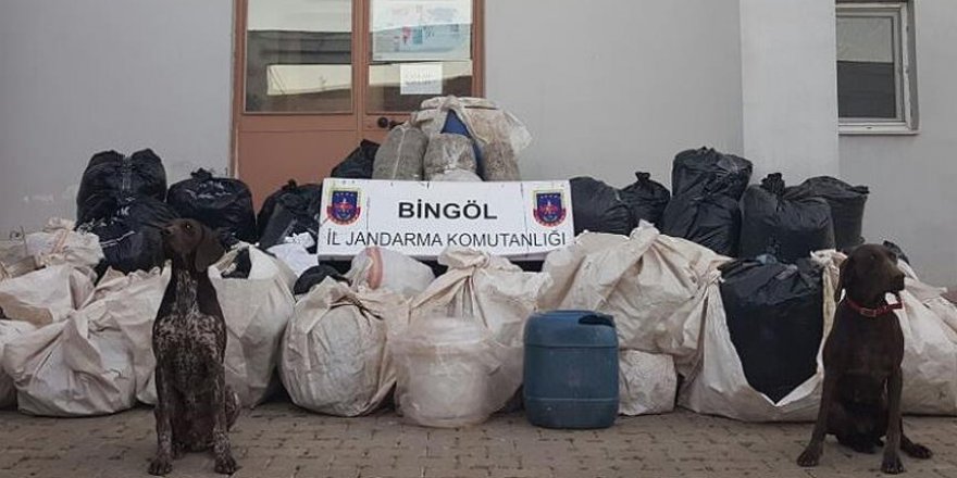 Bingöl'de 714 kilo 890 gram esrar ele geçirildi