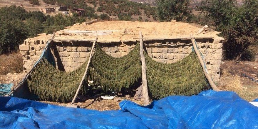 PKK’nın finans kaynağına büyük darbe