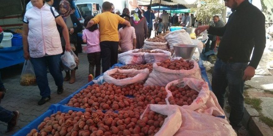Ceviz fiyatları düştü