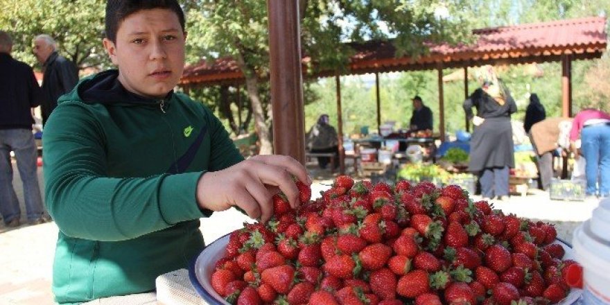 Bu da sonbahar çileği