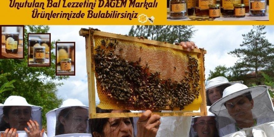 Bilimle süzülen bal artık sofralarda